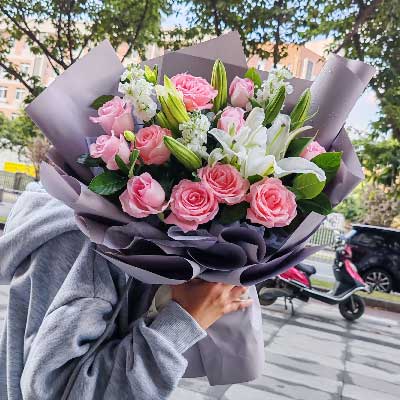 焦作11朵戴安娜粉玫瑰百合，与你一起追逐梦想